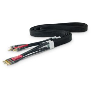 TelluriumQ Black Diamond